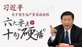 習(xí)近平：學(xué)黨史、悟思想、辦實事、開新局